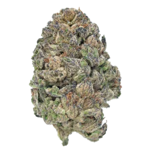 Buy Bulk Exotic Flower