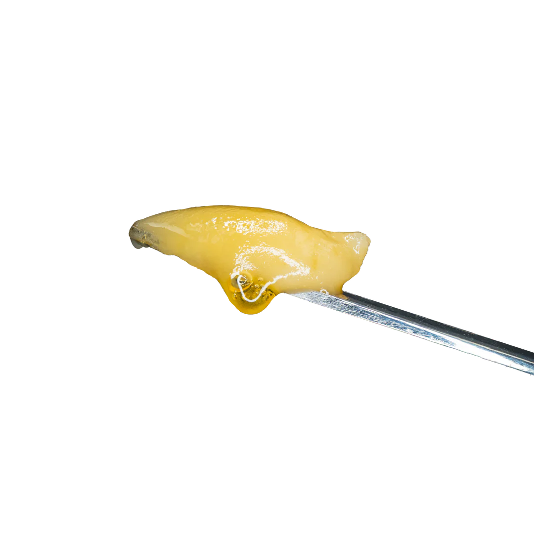 Buy Donny Burger Rosin