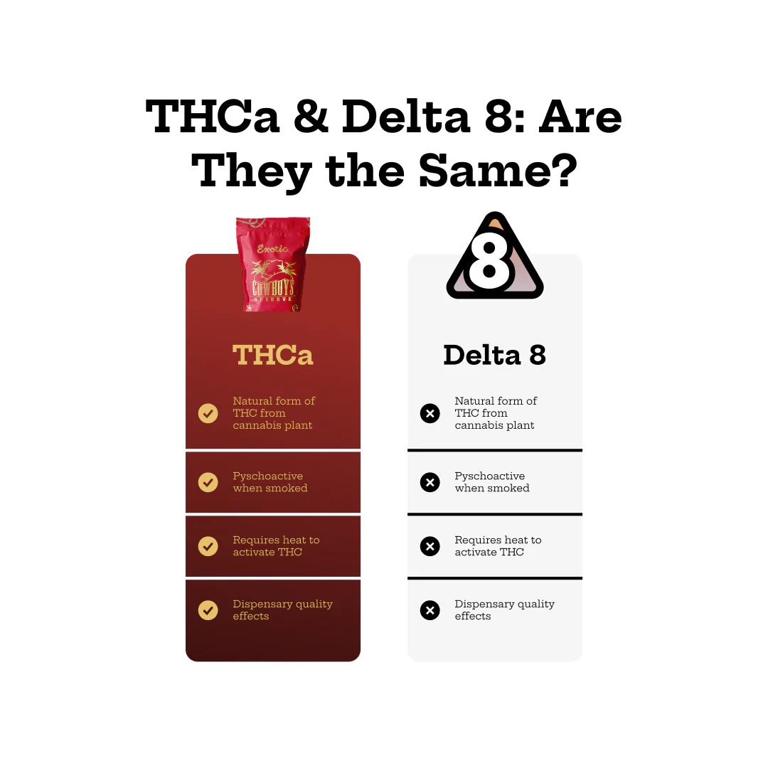 Bx4 X OG Kush - Image 3