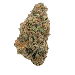 Premium Buds for Sale