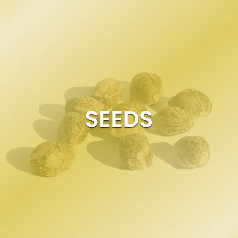 THCa Seeds for Sale in USA