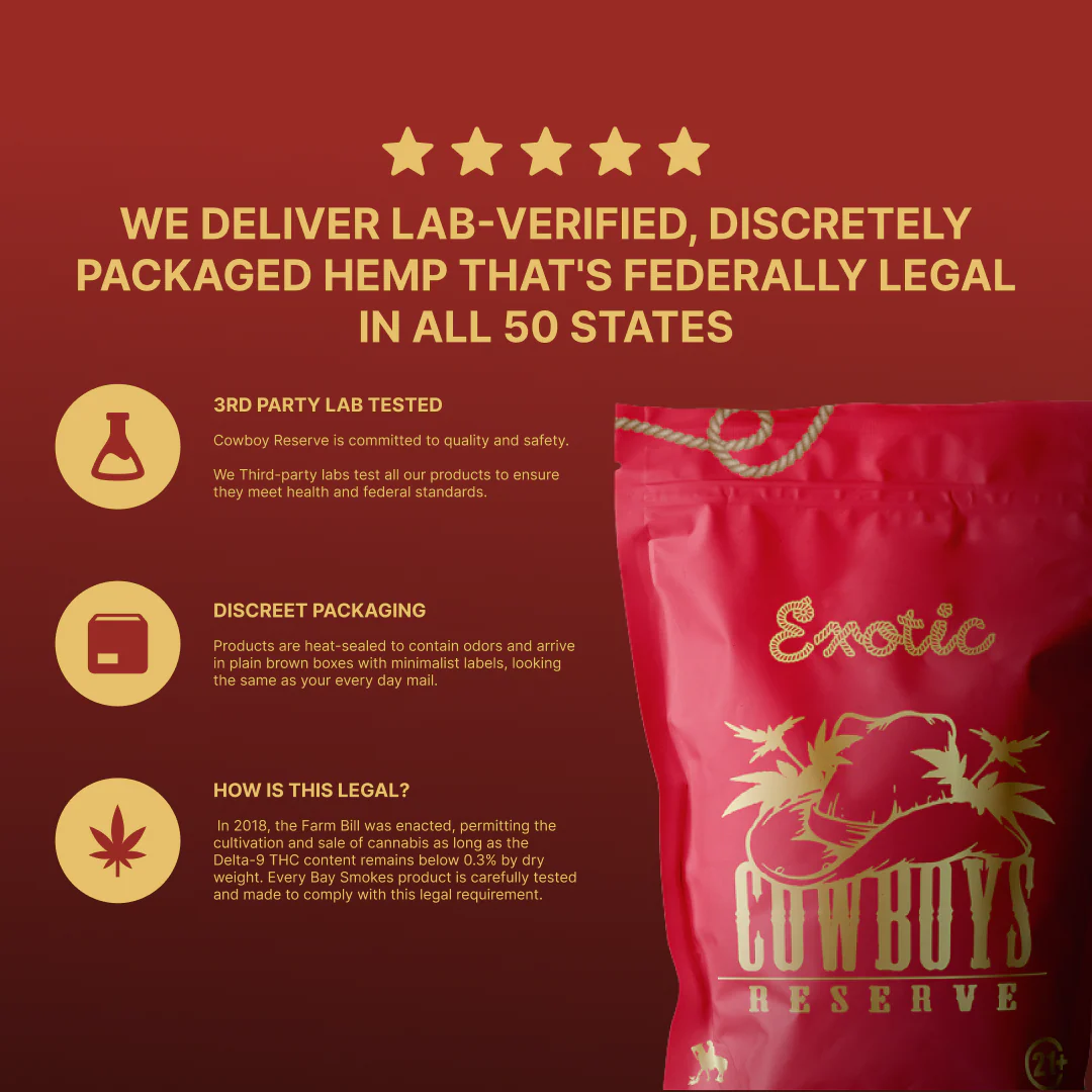 Watermelon X OG Kush Seeds - Image 2